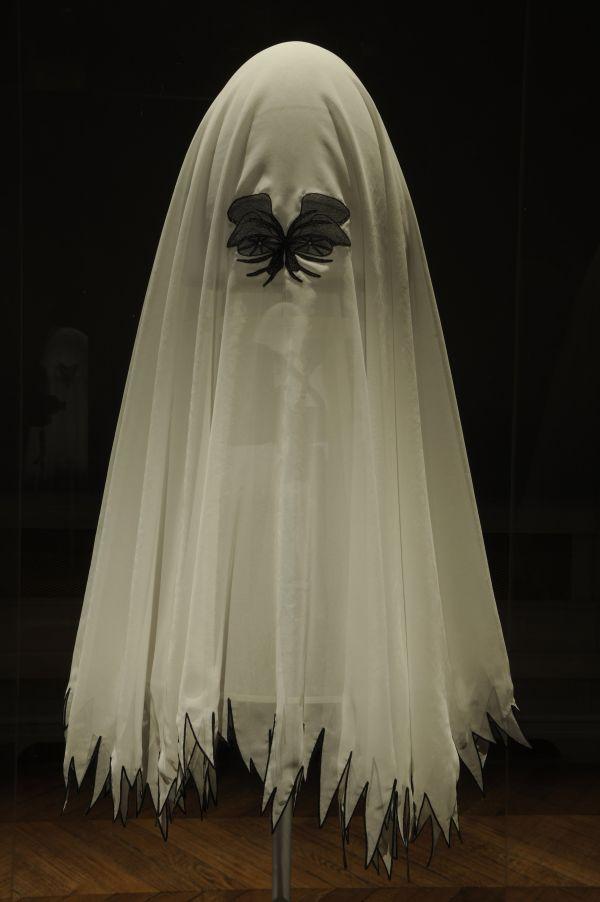Voile de mariée
Papillon